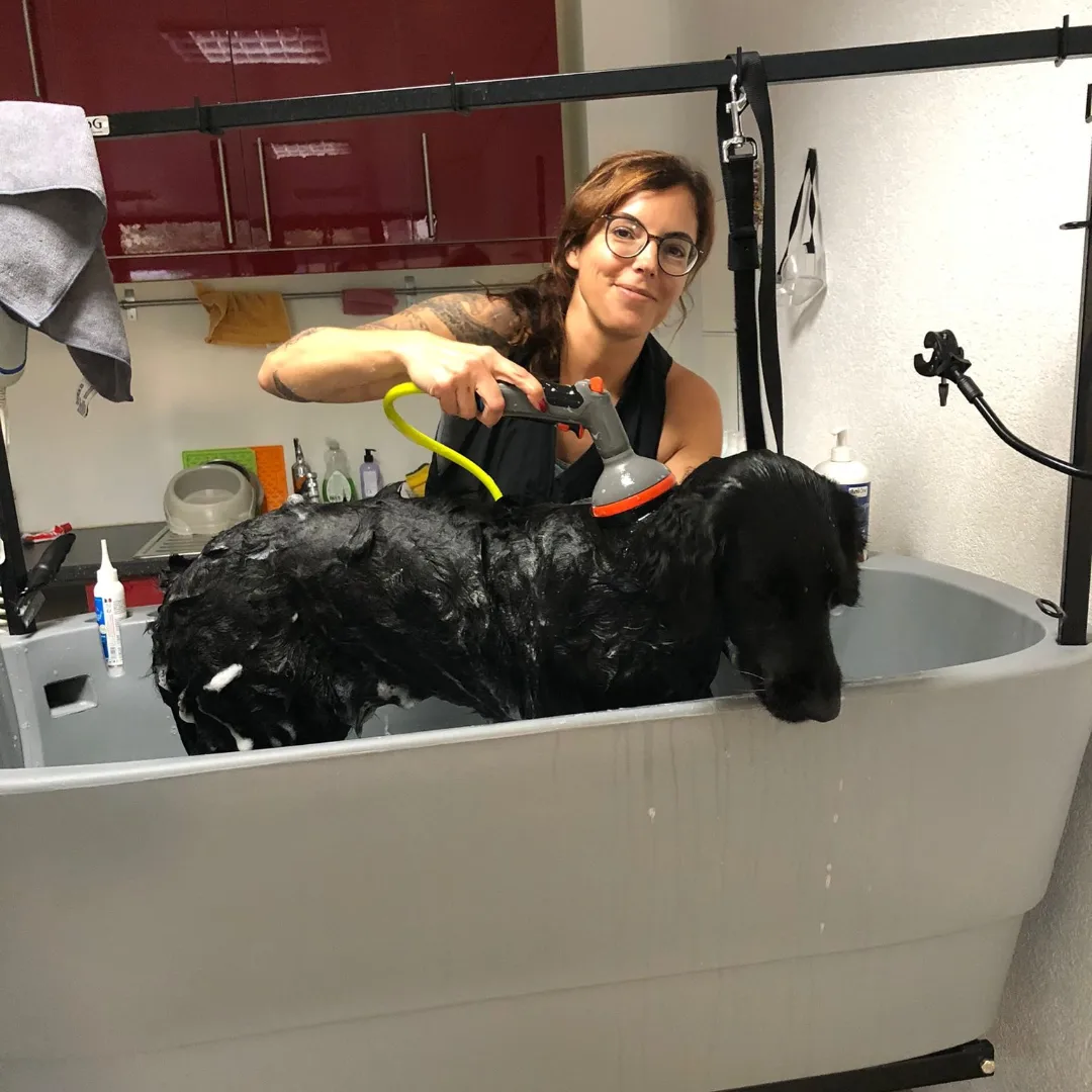 Caro's Hundesalon, Wangen bei Oten Caro's Hundesalon, Wangen bei Oten